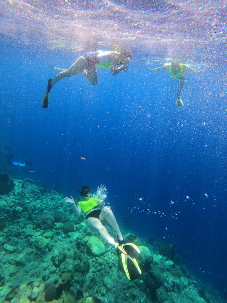 people snorkelling near reefs