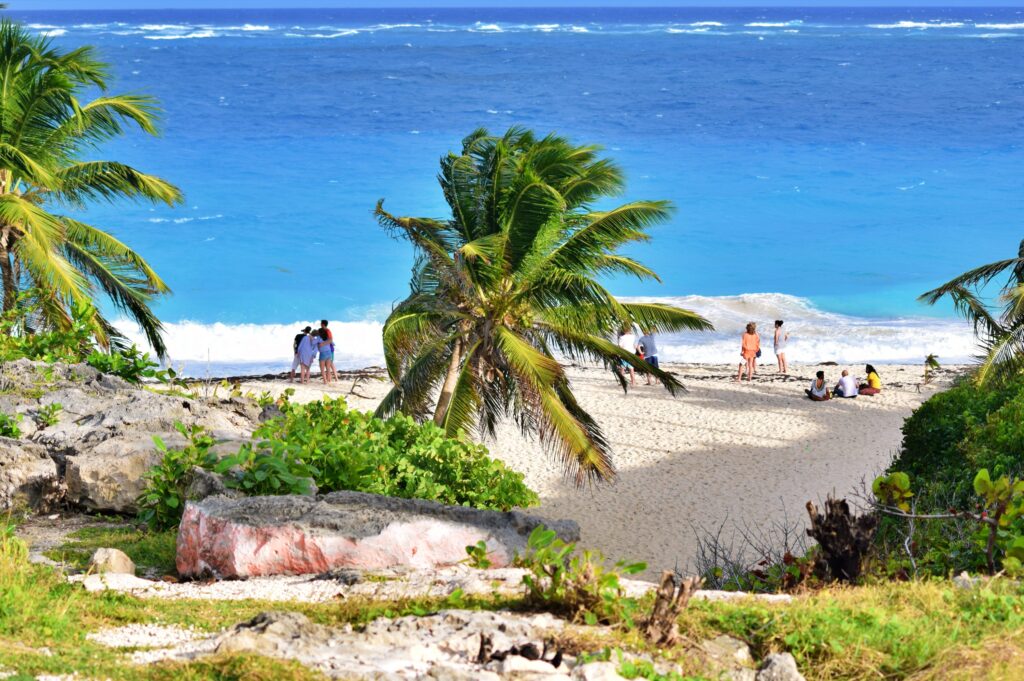 Barbados Beach with palm Trees and families 